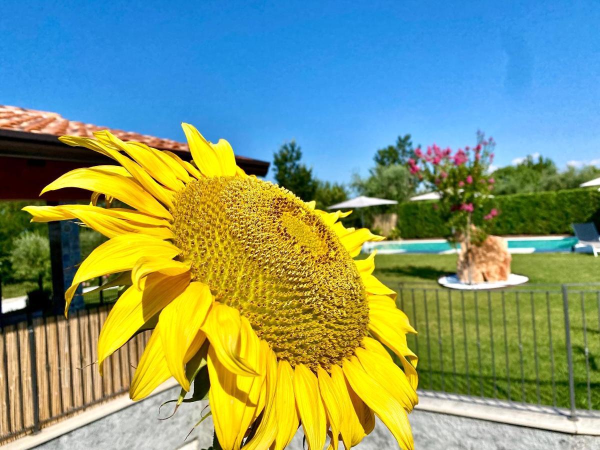 Villa Poggio บาร์โดลิโน ภายนอก รูปภาพ