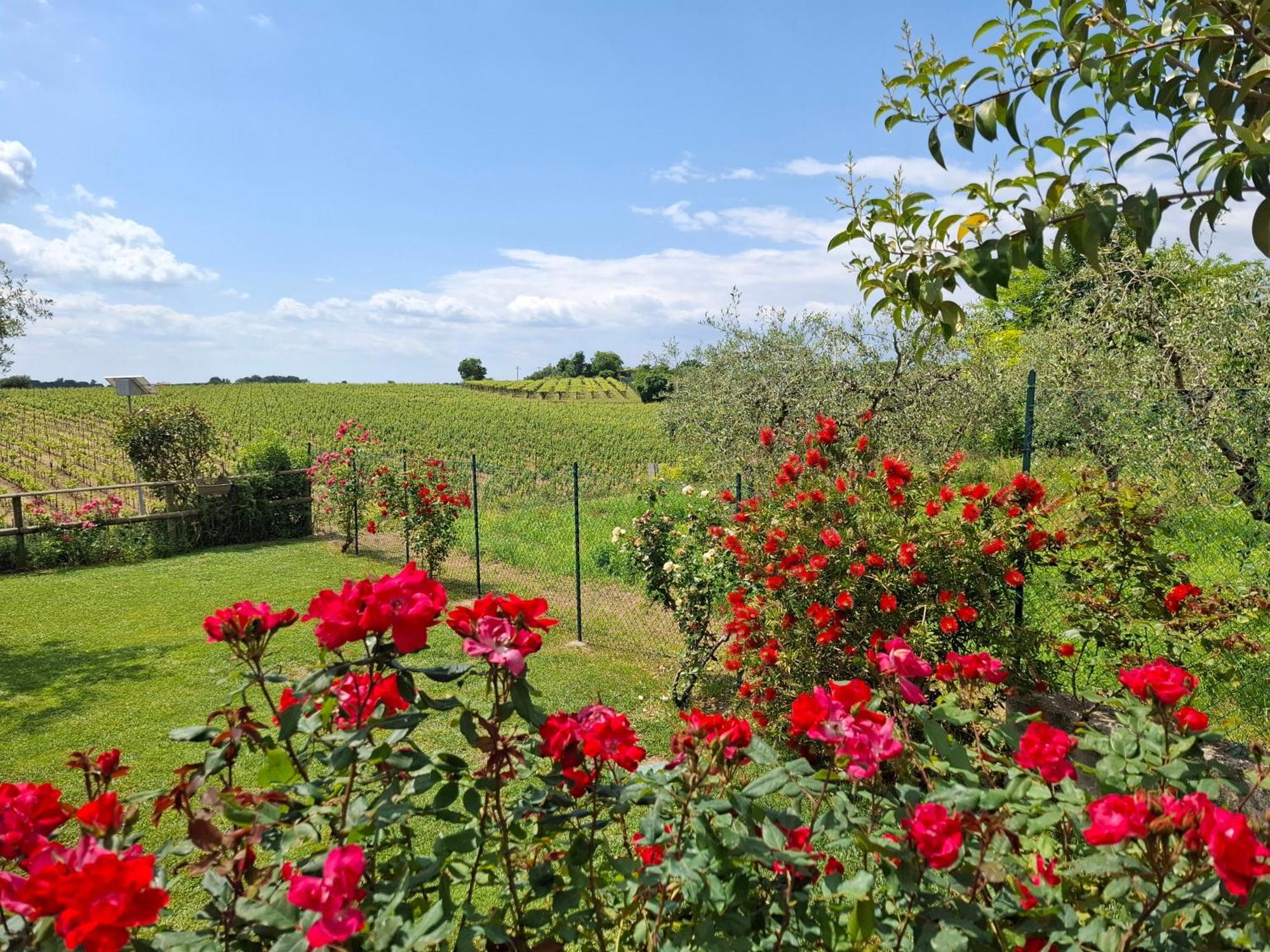 Villa Poggio บาร์โดลิโน ภายนอก รูปภาพ