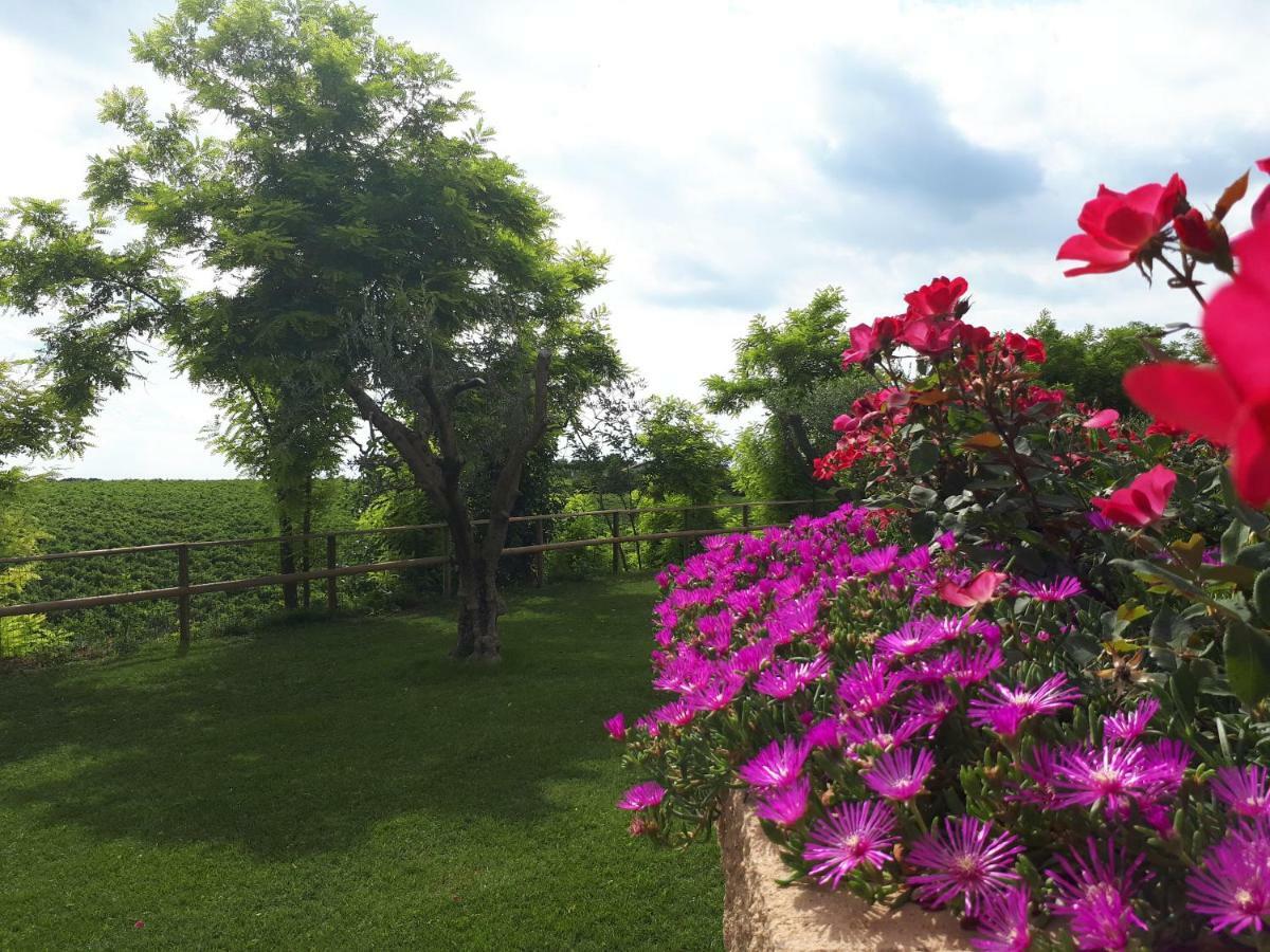 Villa Poggio บาร์โดลิโน ภายนอก รูปภาพ