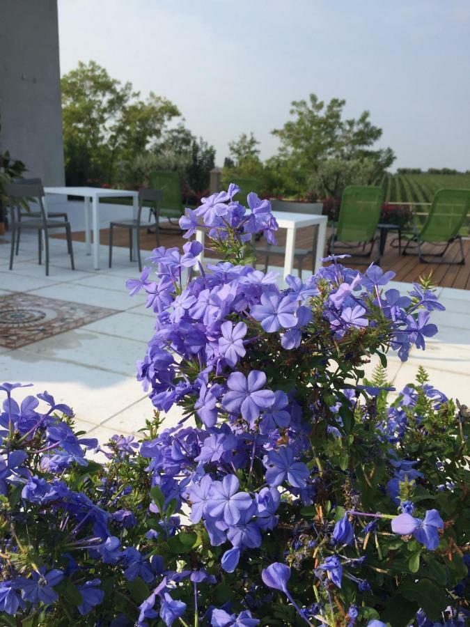 Villa Poggio บาร์โดลิโน ภายนอก รูปภาพ